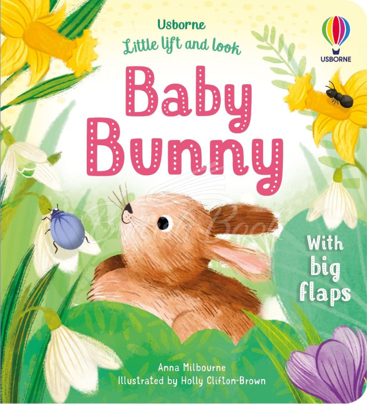 Книга Little Lift and Look: Baby Bunny зображення
