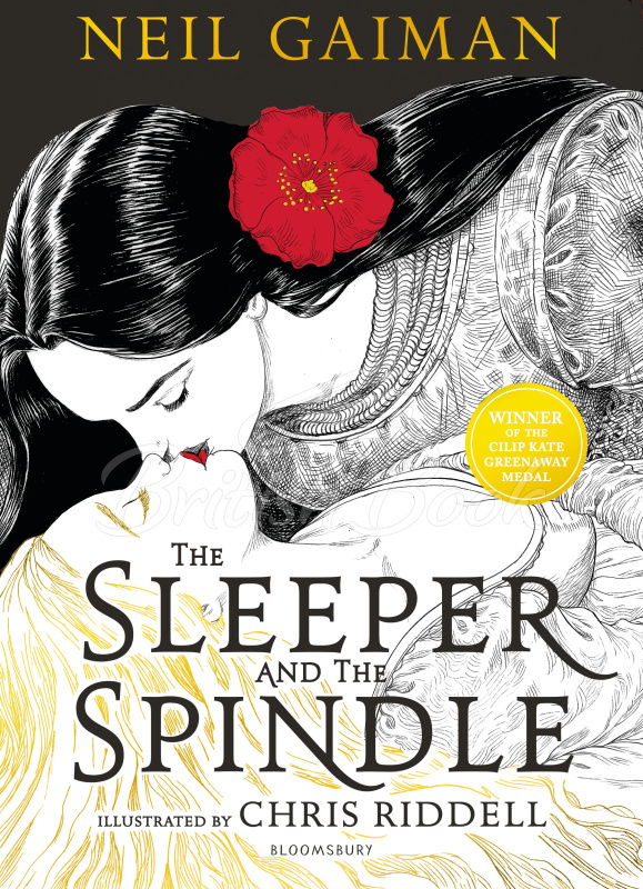 Книга The Sleeper and the Spindle зображення