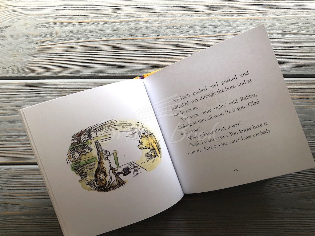 Книга Winnie-the-Pooh: Pooh Goes Visiting изображение 3