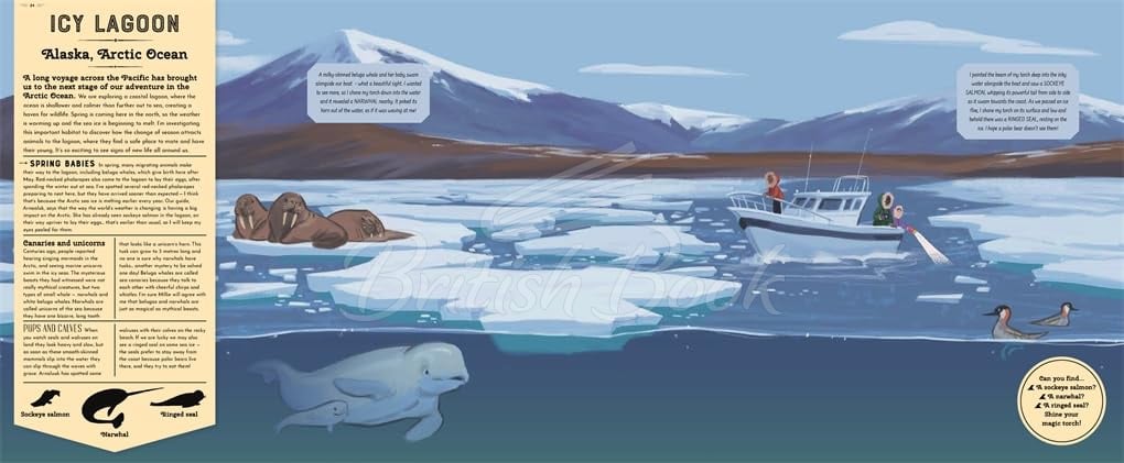 Книга Mysteries of the Ocean зображення 4