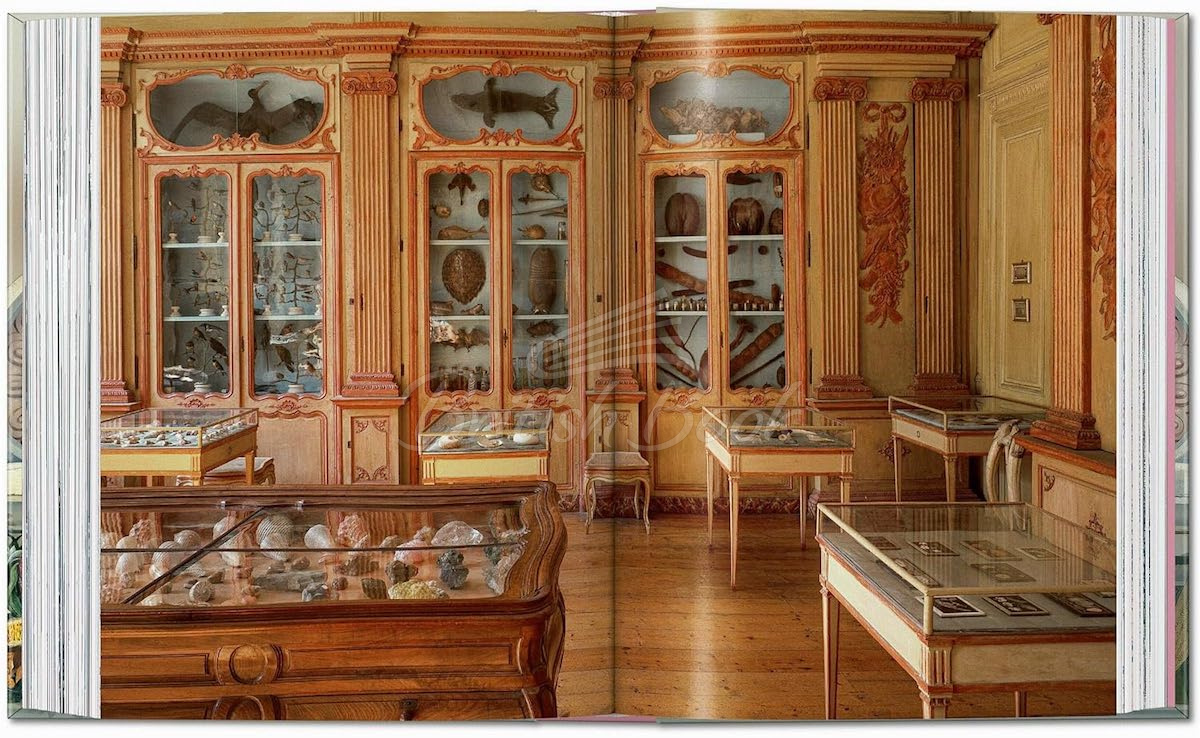 Книга Massimo Listri. Cabinet of Curiosities изображение 6