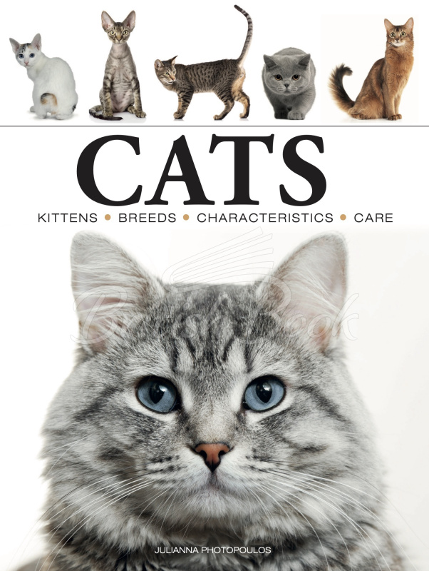 Книга Cats: A Celebration of Our Feline Friends изображение