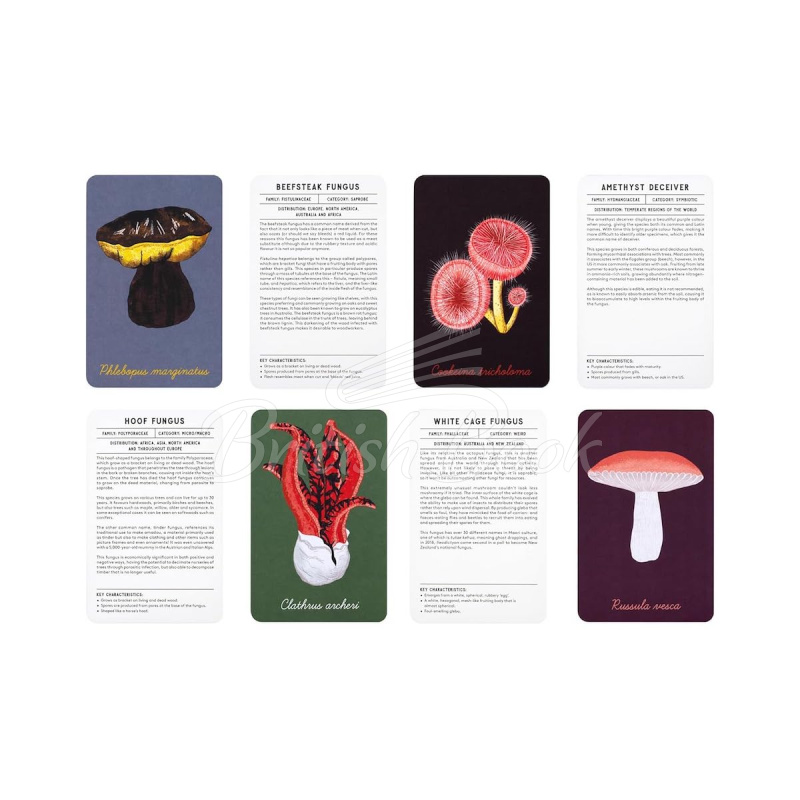 Картки The Mushroom Compendium зображення 7