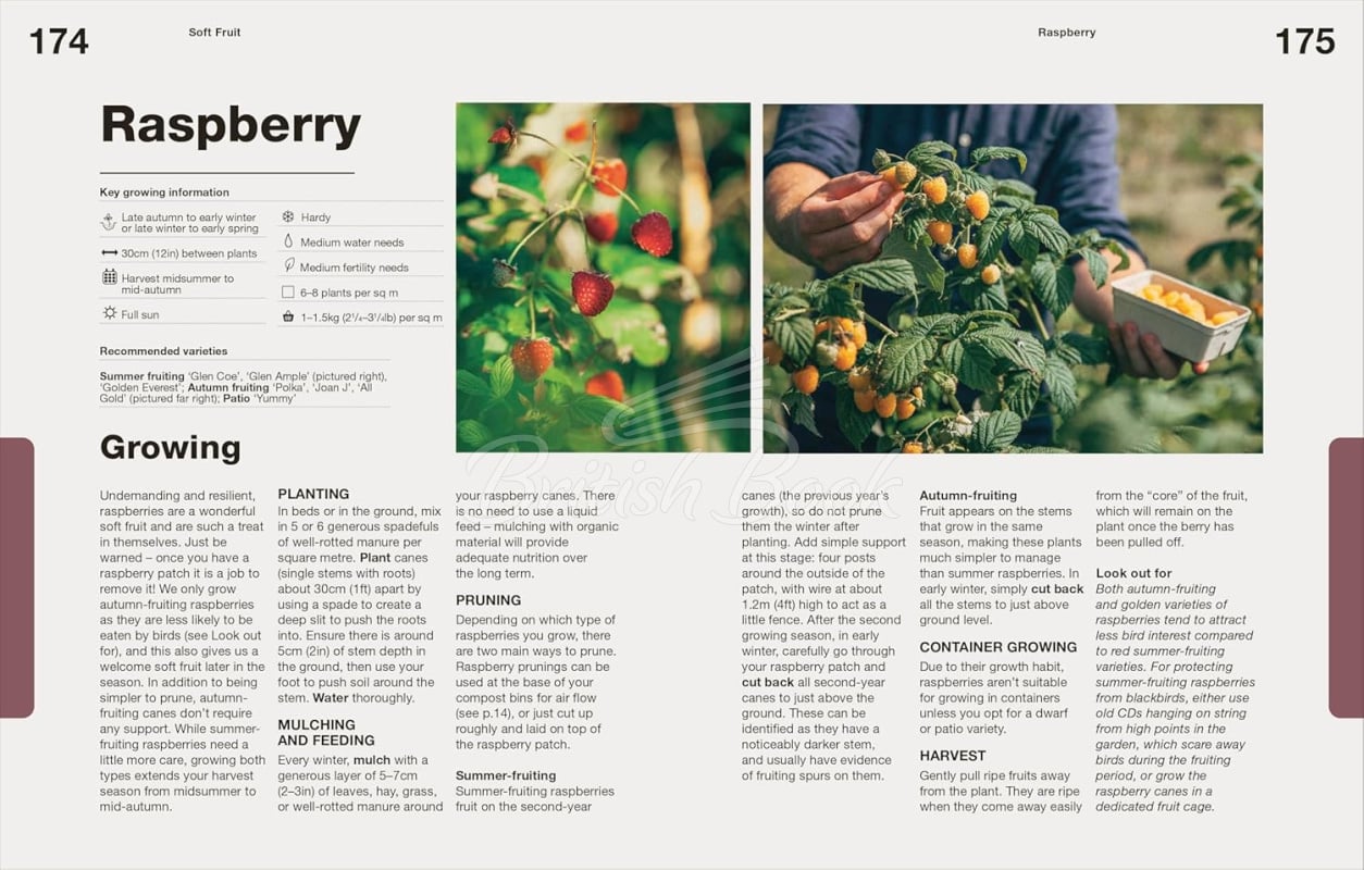 Книга How to Grow Food: Your Crop-by-Crop Guide to Growing, Cooking, & Preserving зображення 5