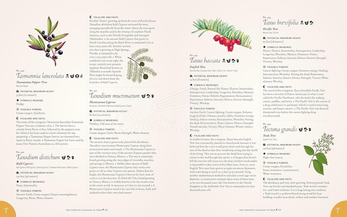 Книга The Complete Language of Trees (Pocket Edition) изображение 2