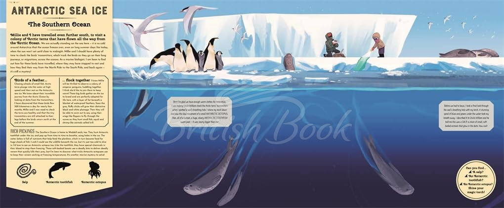 Книга Mysteries of the Ocean зображення 1