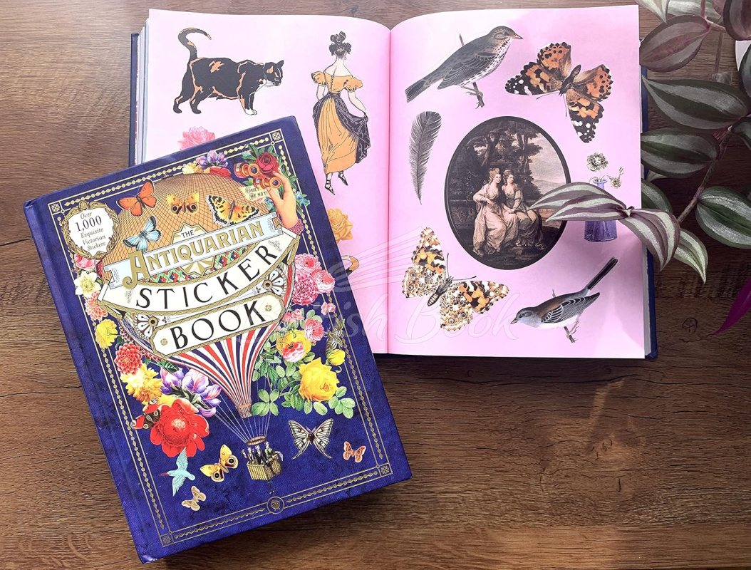 Книга The Antiquarian Sticker Book изображение 9