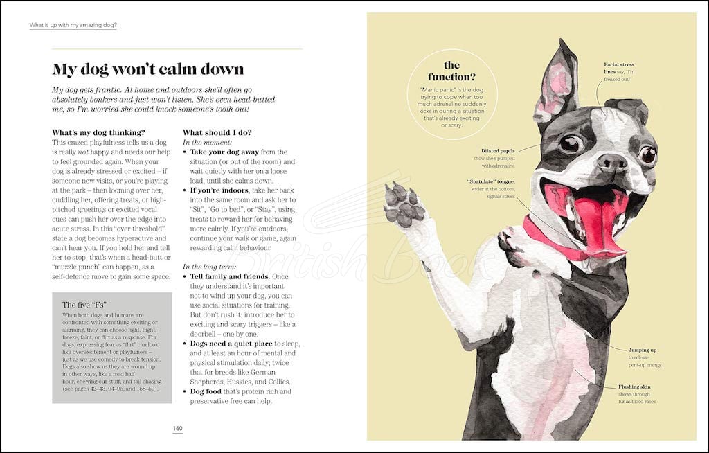 Книга What's My Dog Thinking? изображение 7
