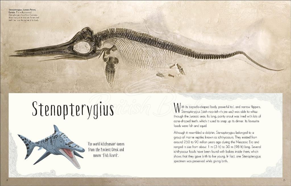 Книга Dinosaurs and Other Prehistoric Life изображение 5