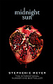 Midnight Sun (Book 5)