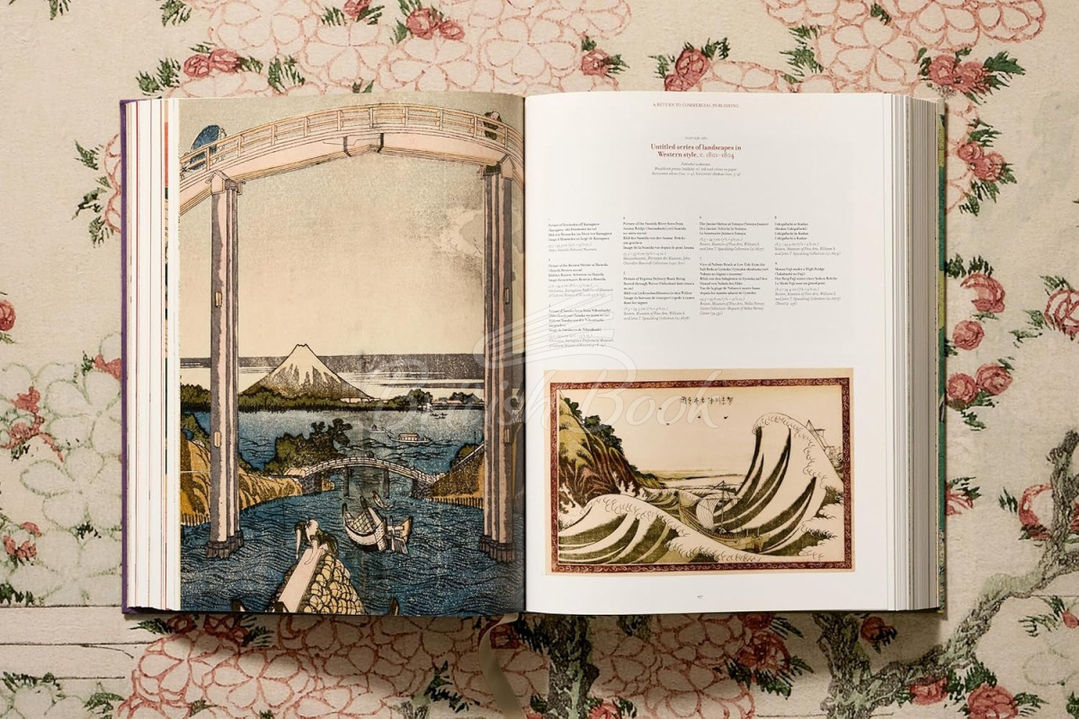 Книга Hokusai изображение 16