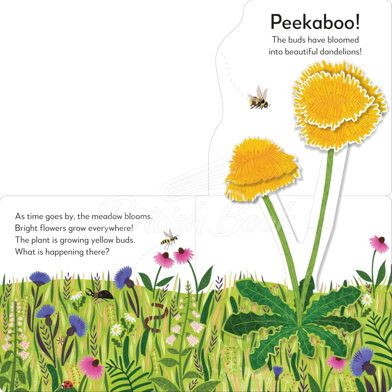 Книга Pop-Up Peekaboo! Flower зображення 3