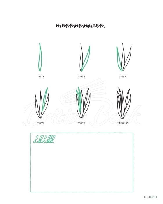 Книга Botanical Line Drawing изображение 4