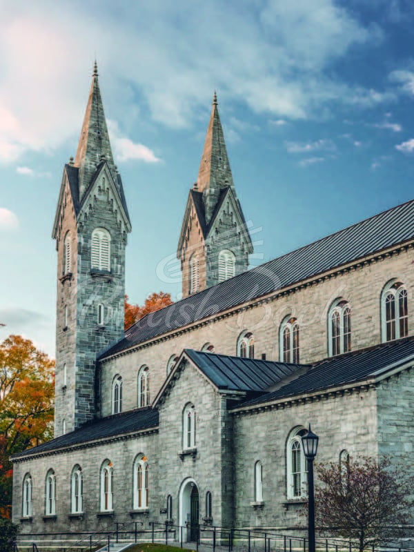 Книга Academia: Collegiate Gothic Architecture in the United States зображення 5