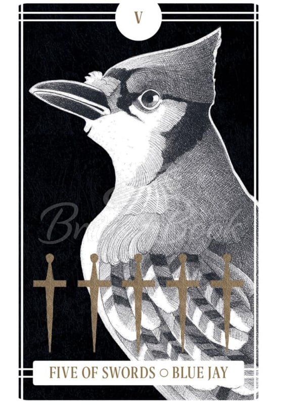 Карти таро The Avian Tarot зображення 3