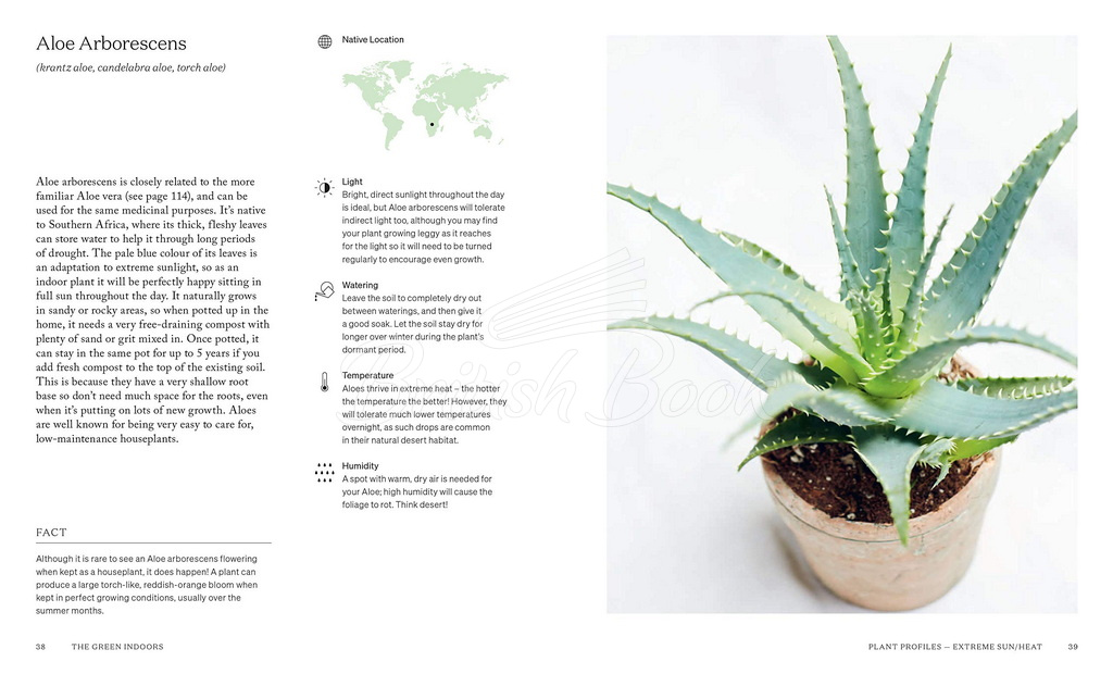 Книга The Green Indoors: Finding the Right Plants for Your Home Environment изображение 7