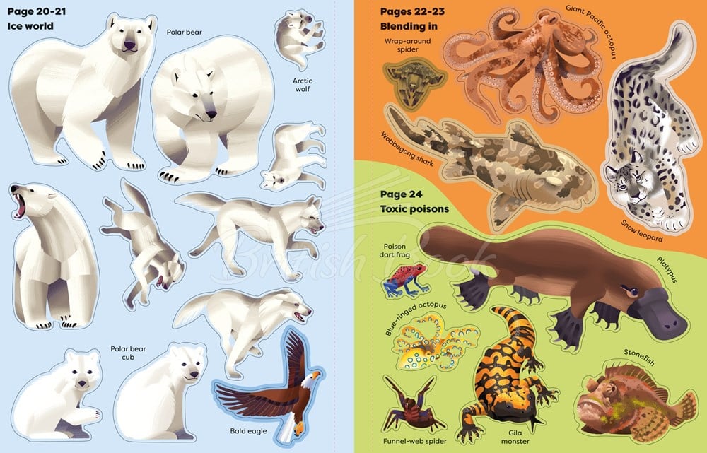 Книга Big Sticker Book Deadly Animals изображение 5