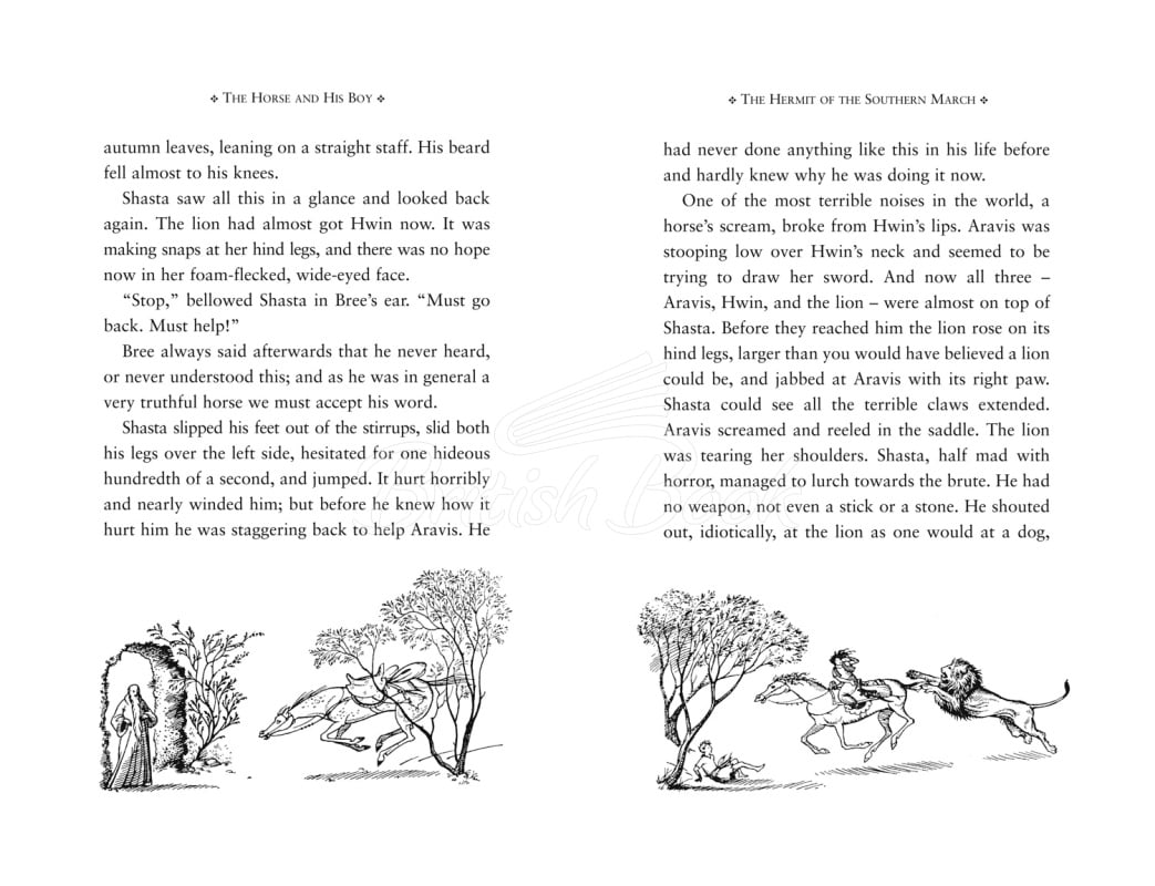 Книга The Horse and His Boy (Book 3) зображення 3