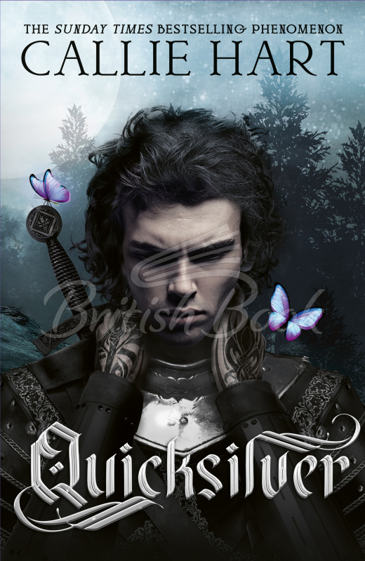 Книга Quicksilver (Book 1) зображення