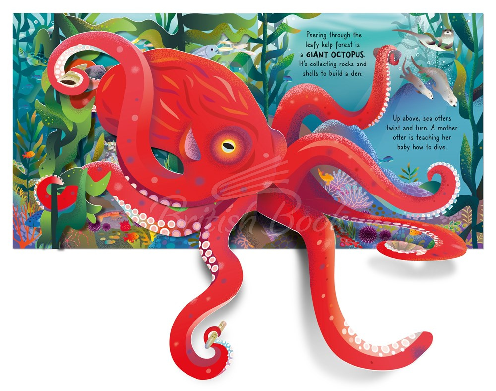Книга Usborne Pop-up Ocean изображение 2