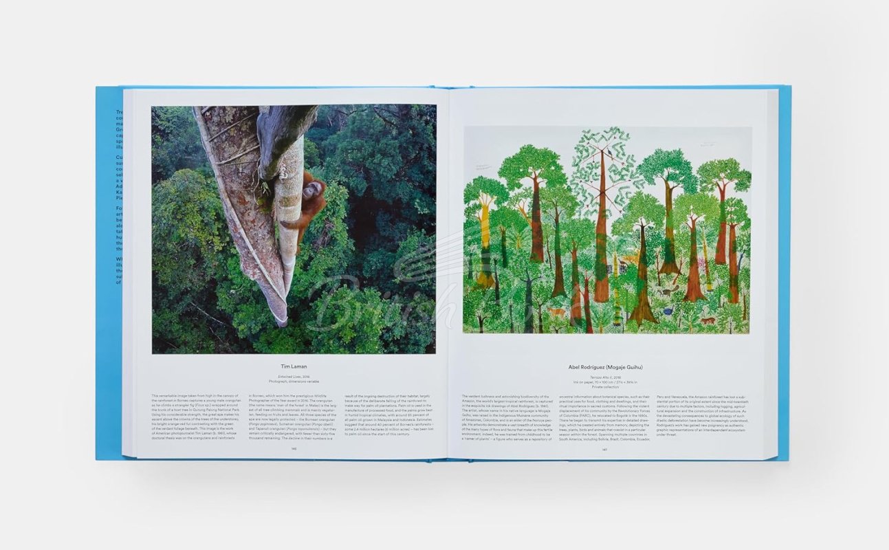 Книга Tree: Exploring the Arboreal World зображення 7