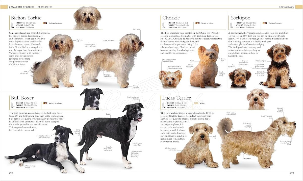Книга The Dog Encyclopedia изображение 9
