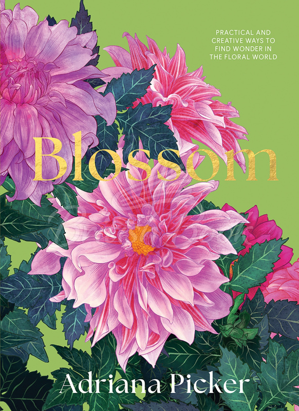 Книга Blossom: Practical and Creative Ways to Find Wonder in the Floral World зображення