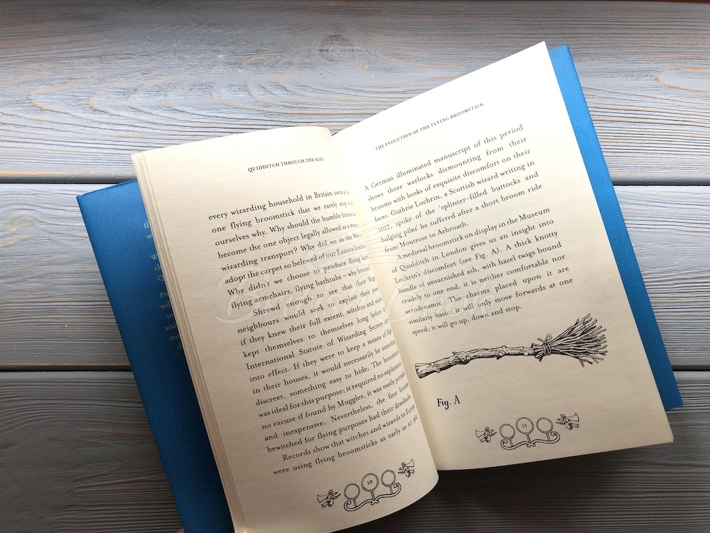 Книга Quidditch Through The Ages изображение 3