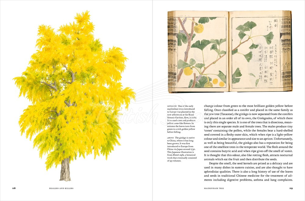 Книга Remarkable Trees изображение 10