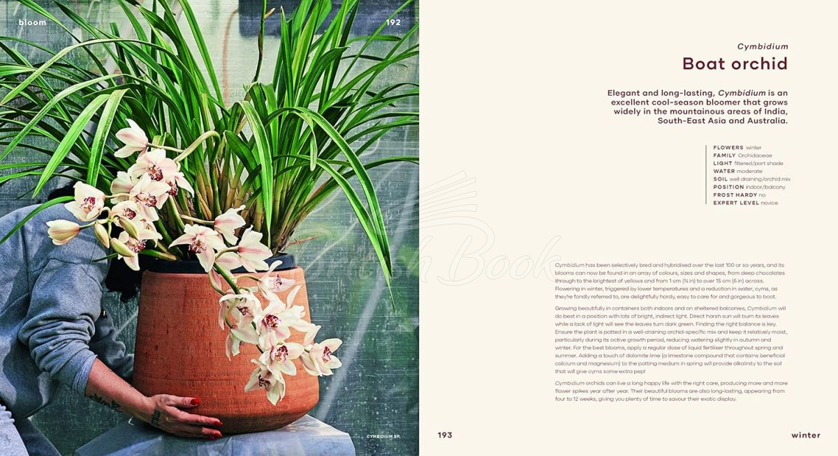 Книга Bloom: Flowering Plants for Indoors and Balconies зображення 7