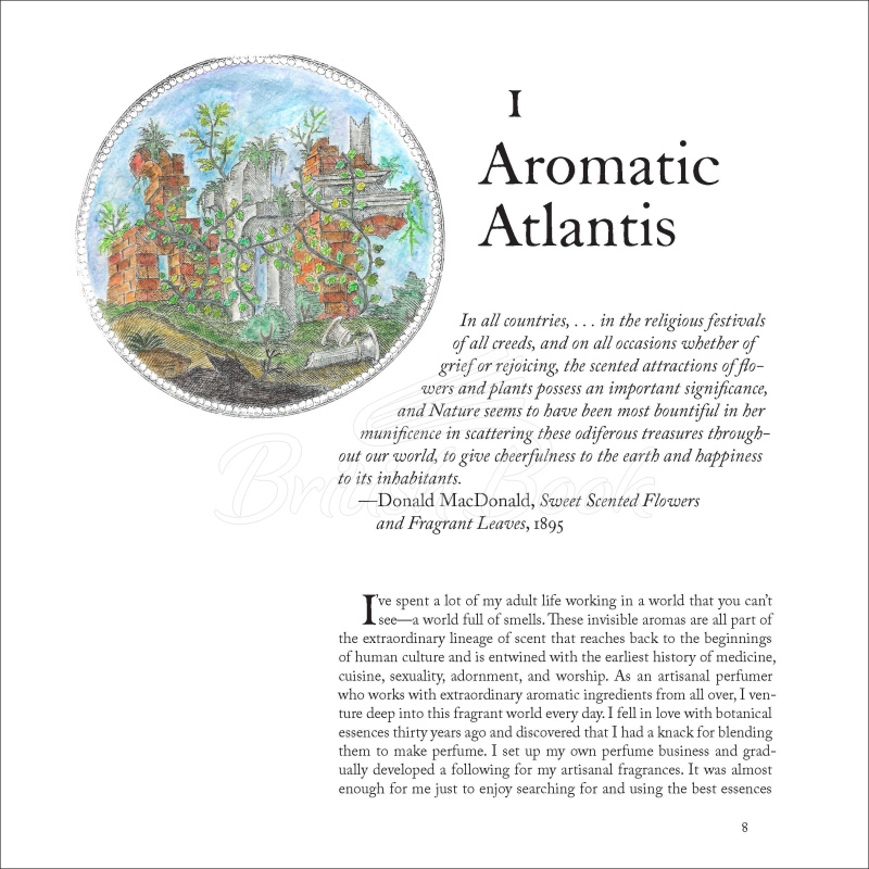 Книга The Museum of Scent: Exploring the Curious and Wondrous World of Fragrance зображення 4
