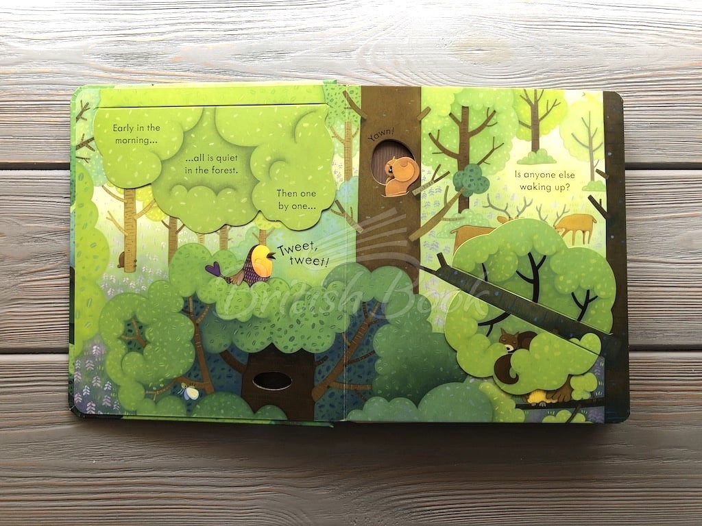 Книга Peep inside the Forest изображение 2