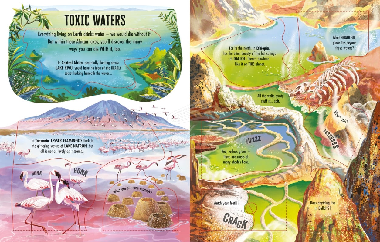 Книга See inside Wild Places зображення 2