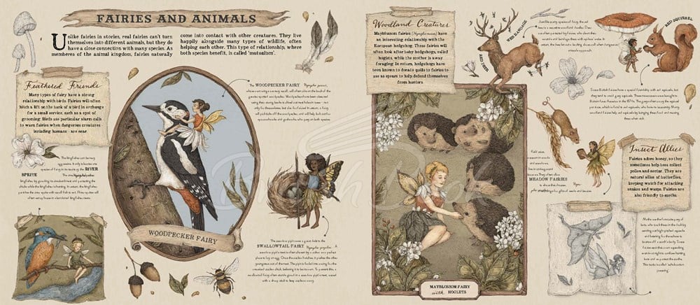 Книга A Natural History of Fairies зображення 3