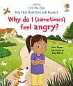 Lift-the-Flap Very First Questions and Answers: Why Do I (Sometimes) Feel Angry?