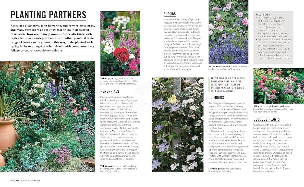 Книга Roses зображення 4