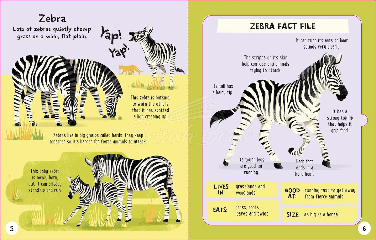 Книга Slot-together Animals Book изображение 6