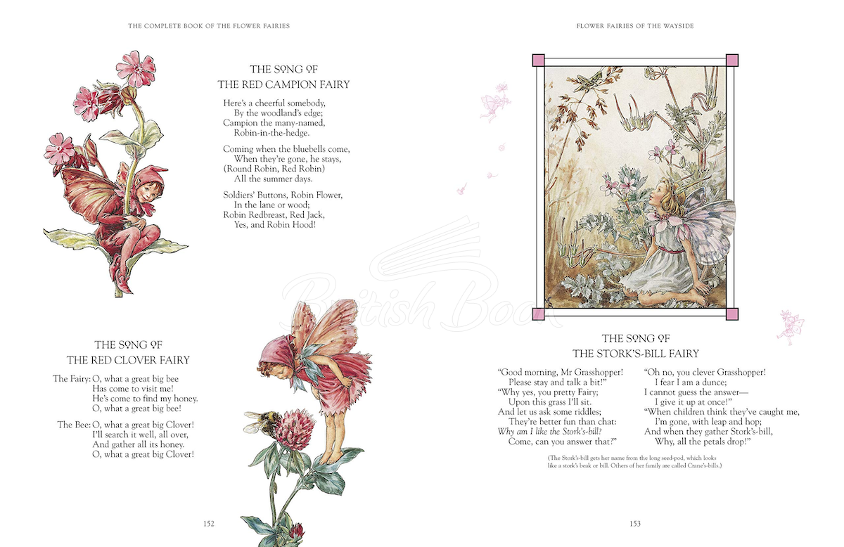 Книга The Complete Book of the Flower Fairies изображение 2