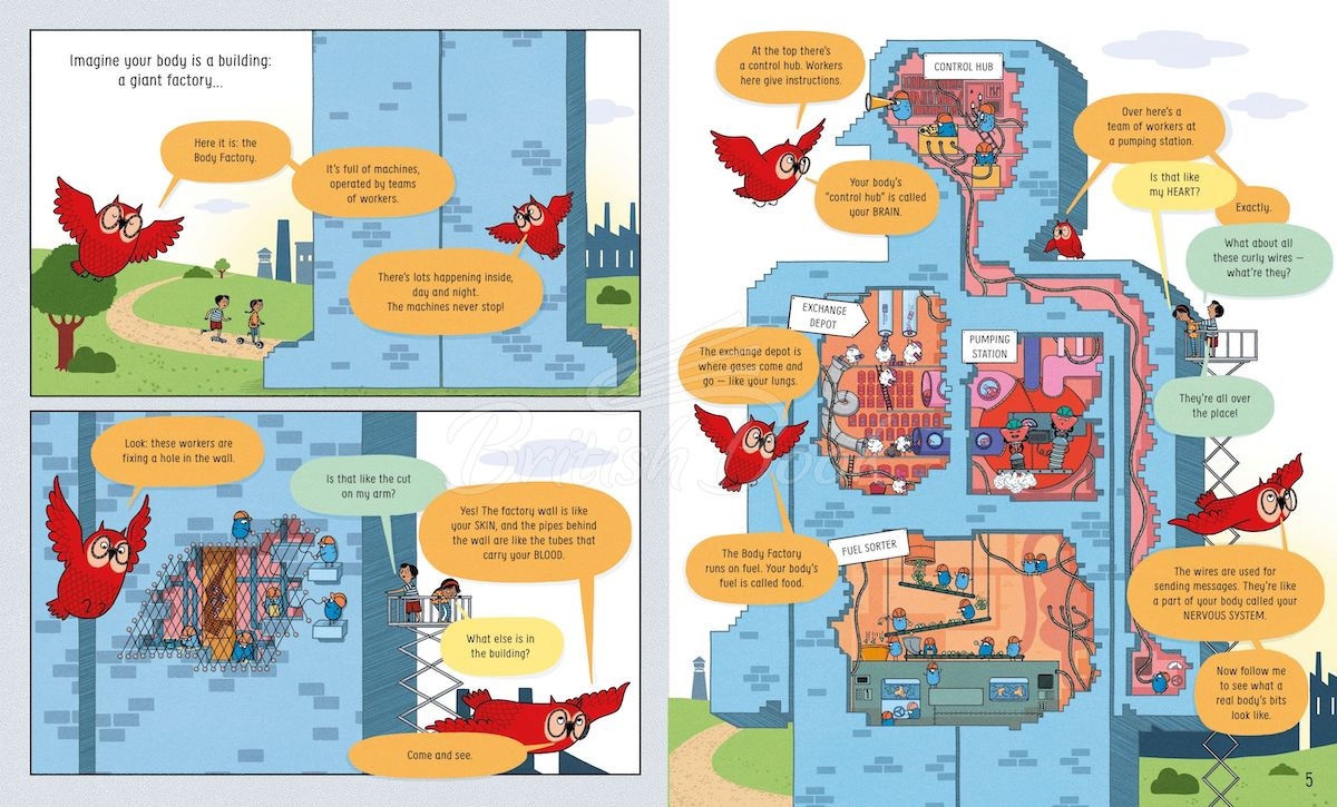 Книга Usborne Book of the Body and How it Works зображення 2