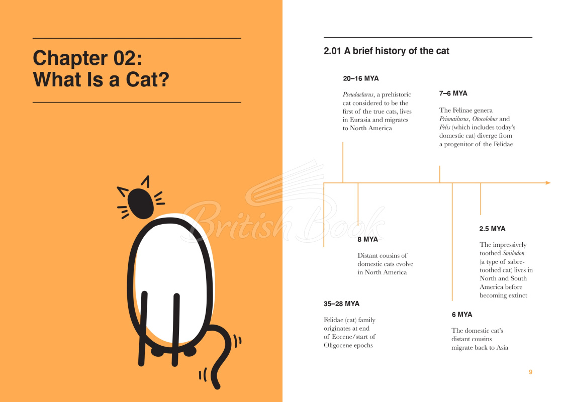 Книга Catology: The Weird and Wonderful Science of Cats изображение 4