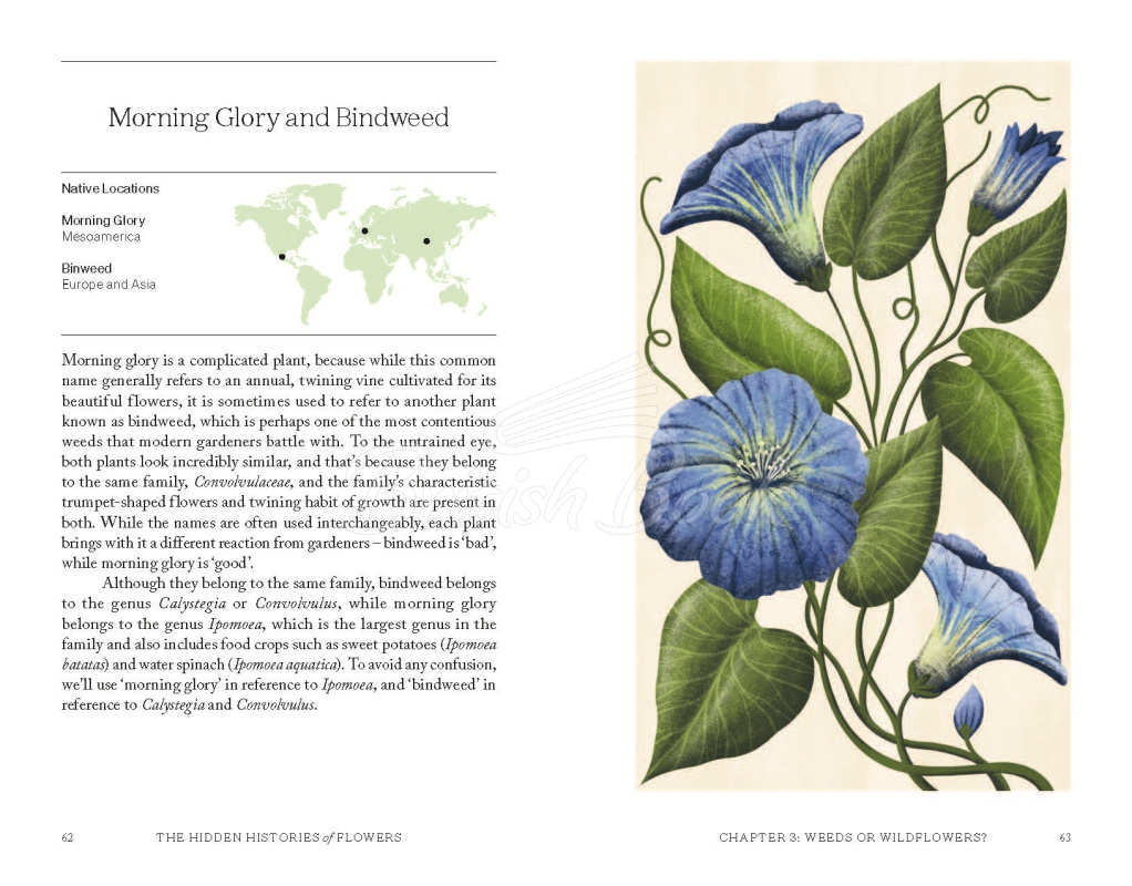 Книга The Hidden Histories of Flowers зображення 4
