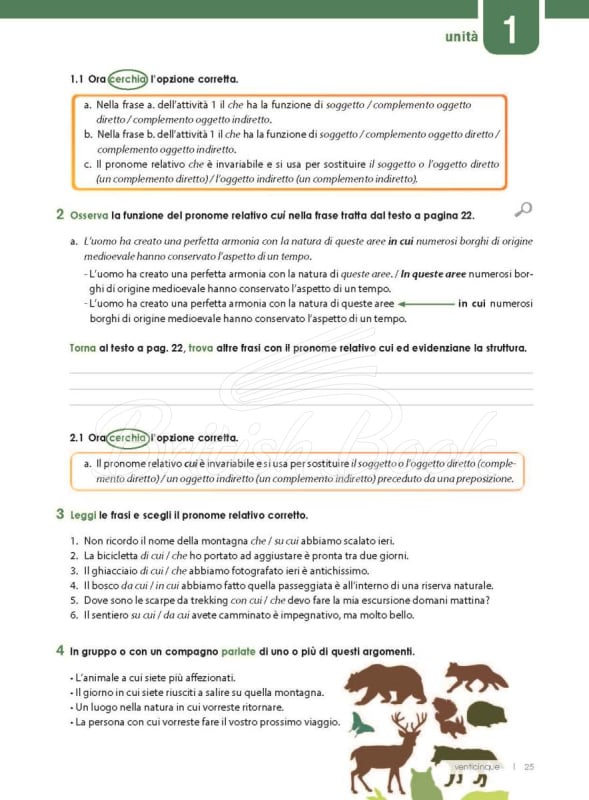 Підручник in alto! B1 con CD audio e Videogrammatica зображення 21