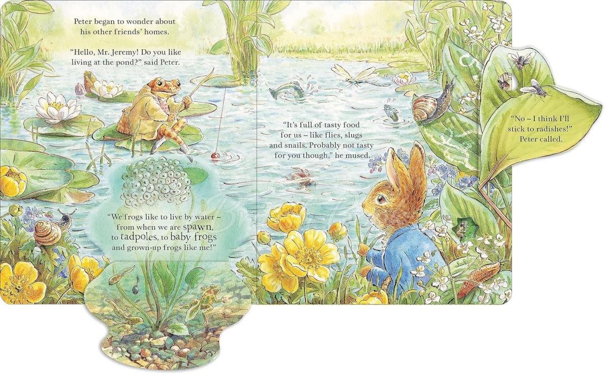 Книга Peter Rabbit: Forest Homes (A Peep-Inside Tale) изображение 6