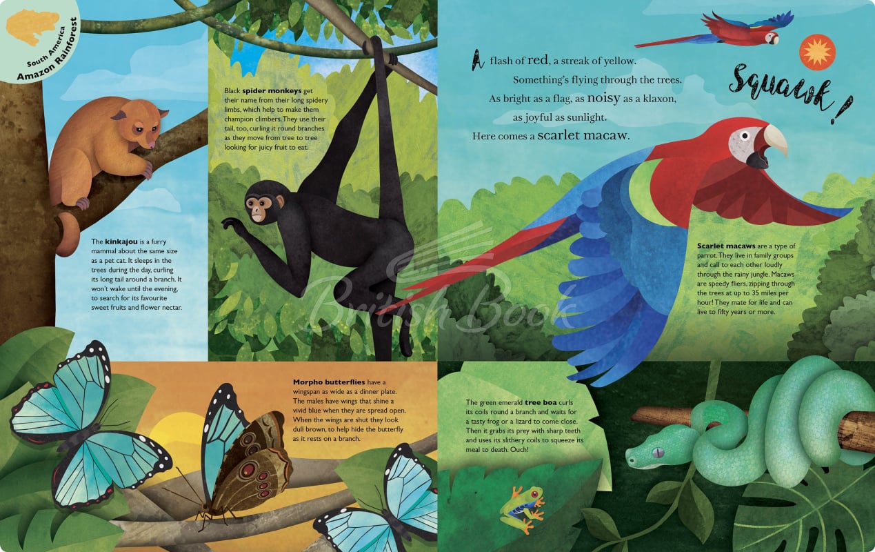 Книга Sounds of the Skies изображение 1