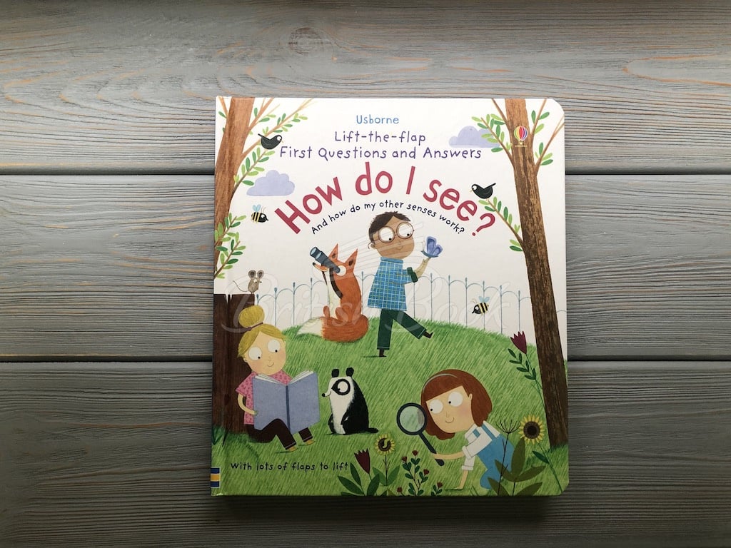 Книга Lift-the-Flap First Questions and Answers: How Do I See? изображение 2
