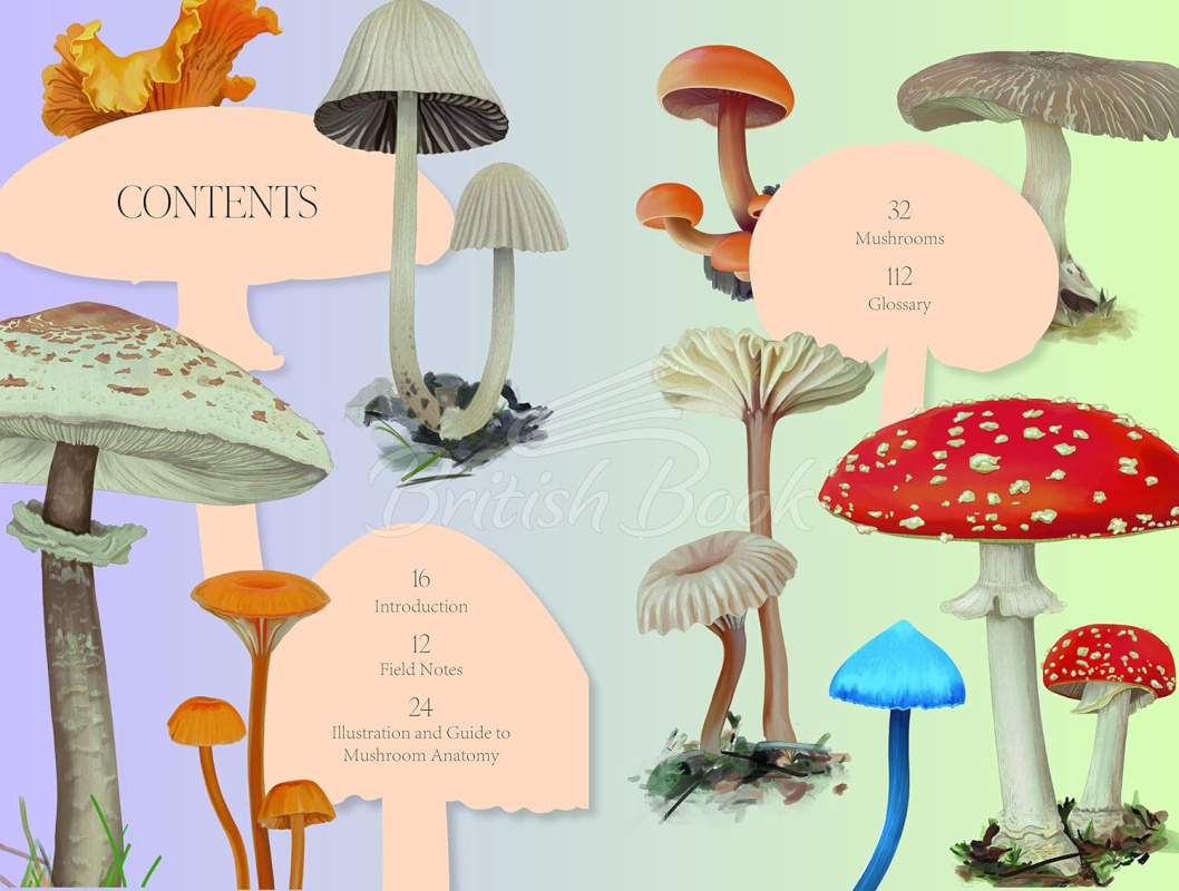 Книга Mushroom Magic зображення 3
