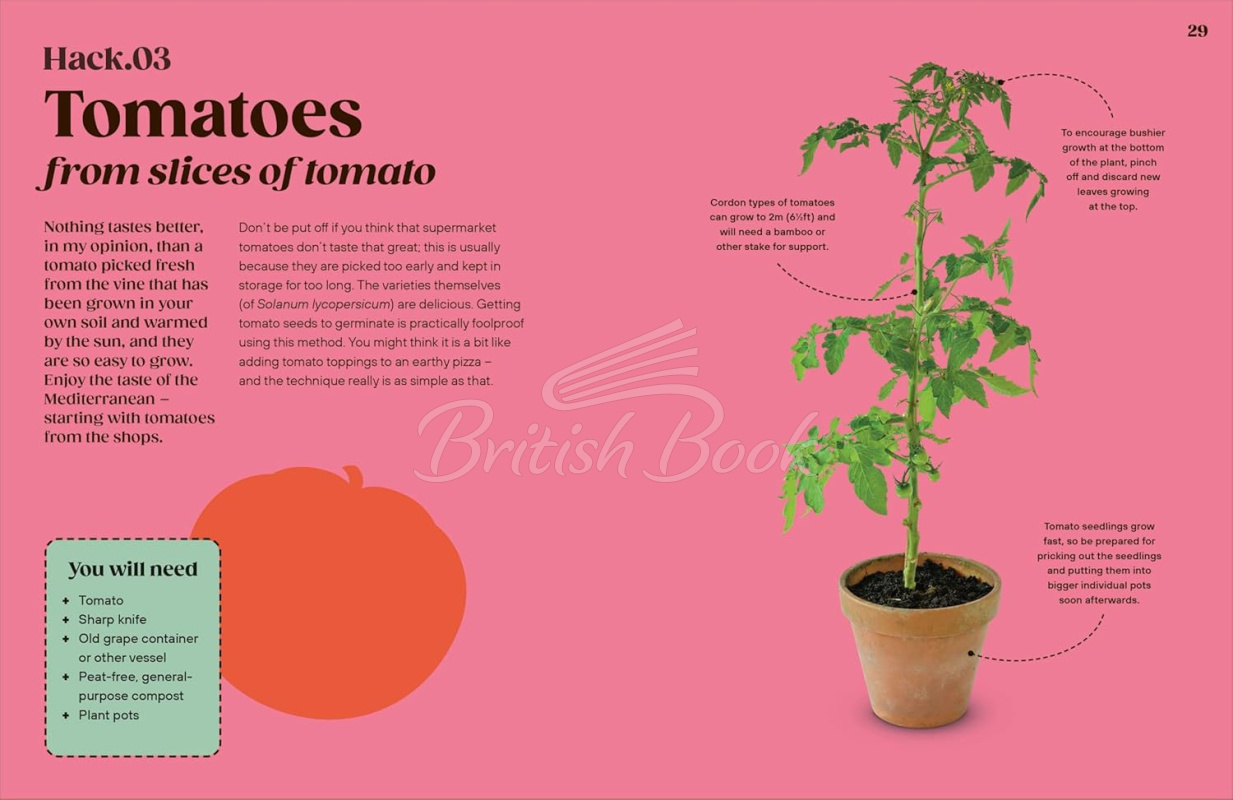 Книга Grow Your Groceries: 40 Hacks for Growing Plants from Your Weekly Shop зображення 3