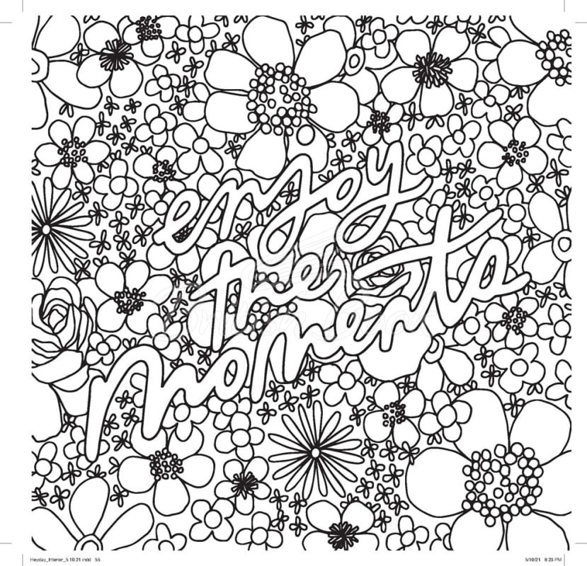 Книга Heyday: A Retro Flower Design Coloring Book изображение 4