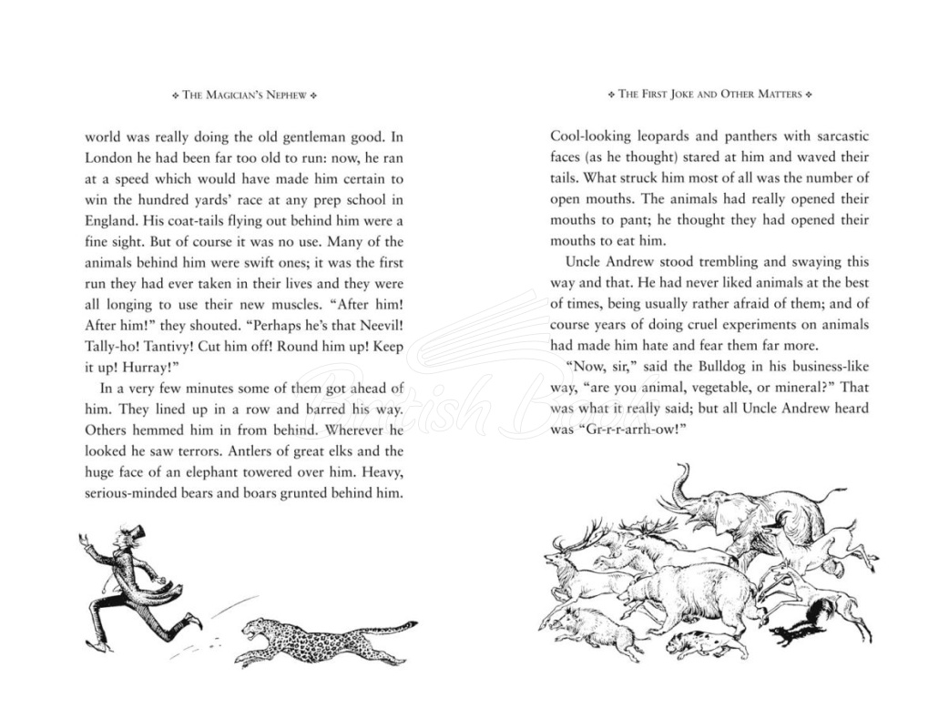 Книга The Magician's Nephew (Book 1) изображение 3