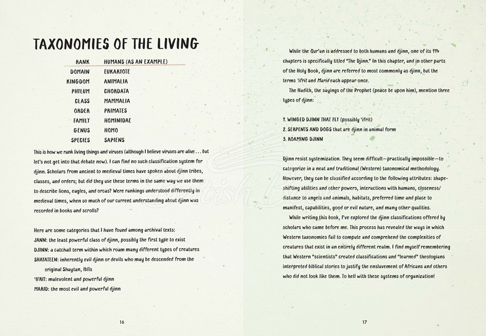 Книга Djinnology: An Illuminated Compendium of Spirits and Stories from the Muslim World зображення 5